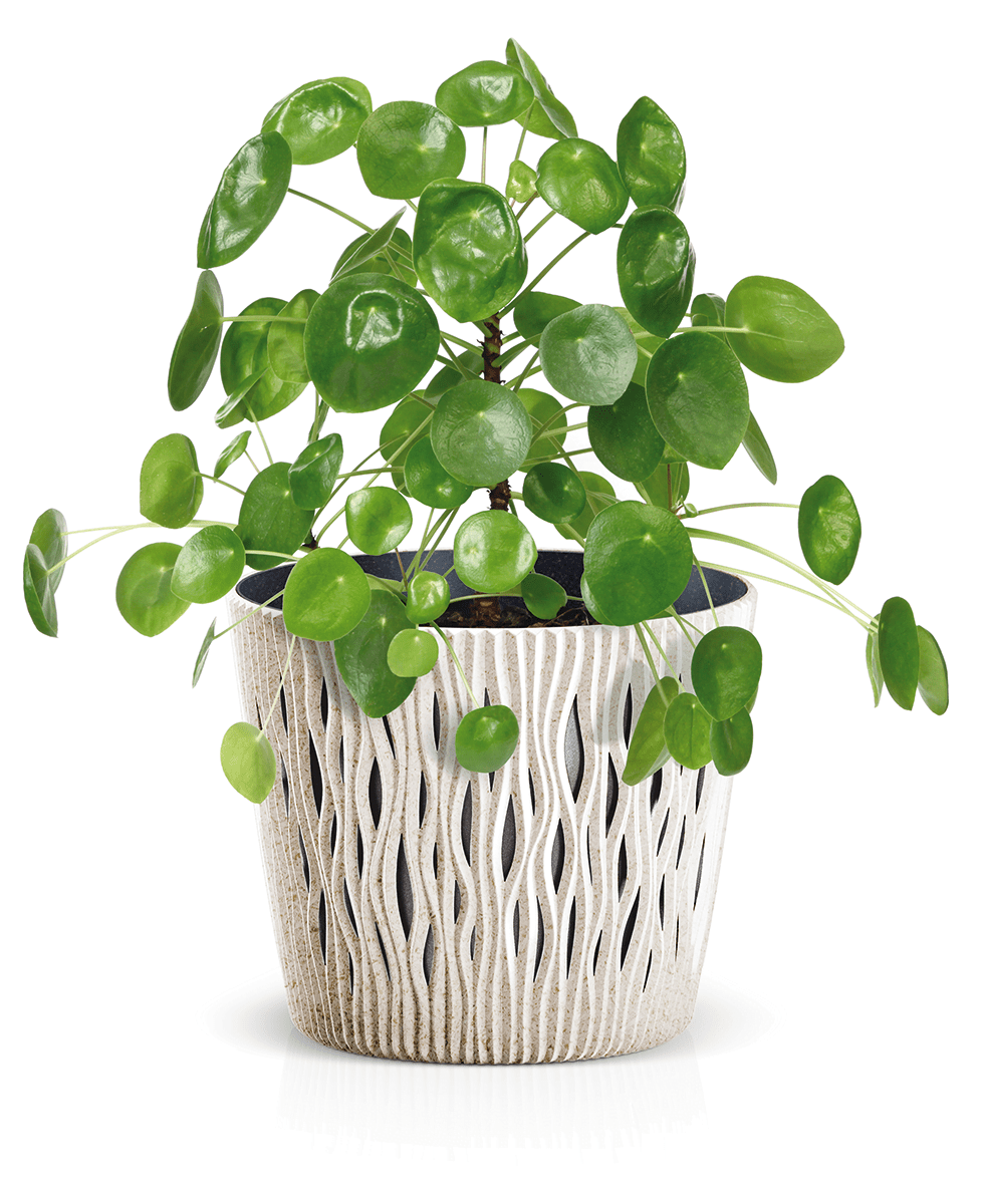 Doniczka SANDY ROUND - biały ECO | 189 mm - obrazek 3